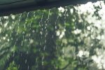 О ценности дождевой воды