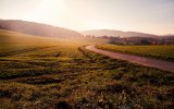 Подходы к повышению производительности с/х производства